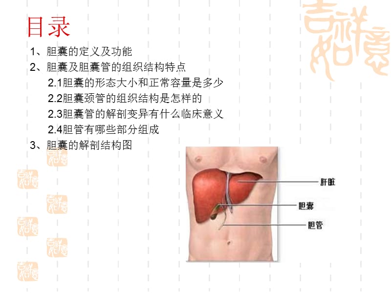 胆囊的解剖位置.ppt_第2页