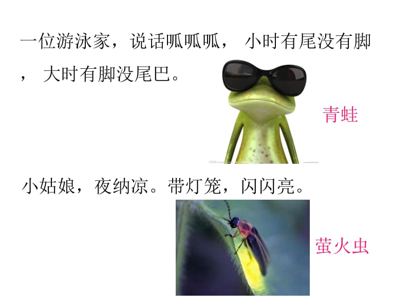 七级上册科学物种的多样性精要.pptx_第2页