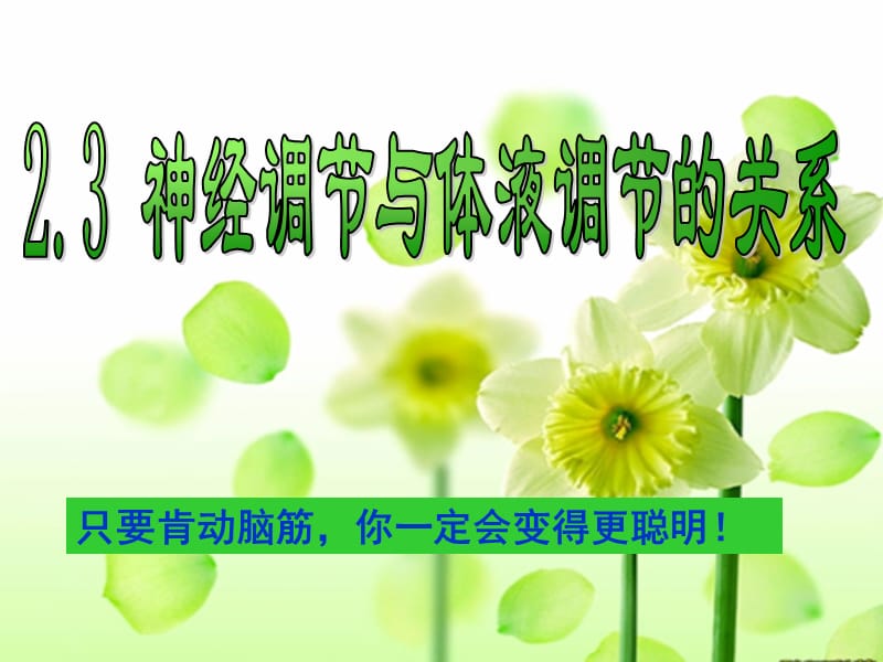 讲课——神经调节和激素调节的关系.ppt_第2页