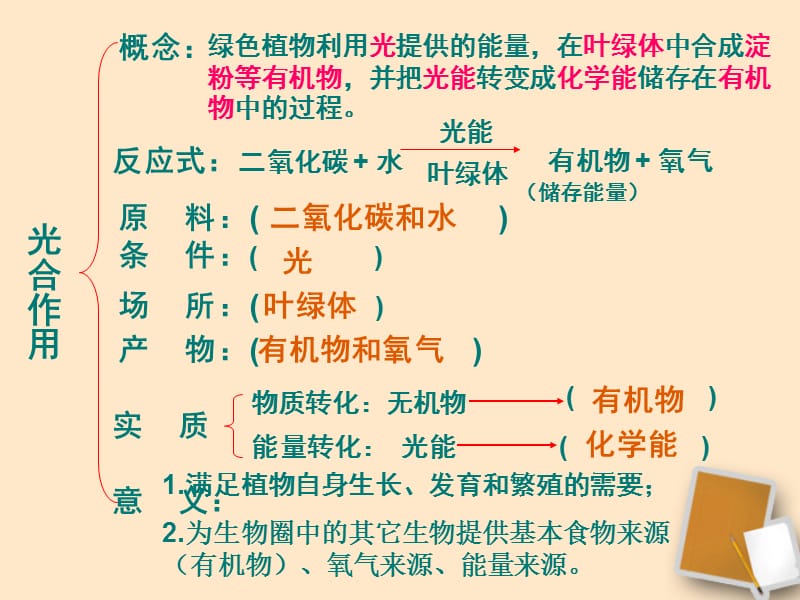 绿色植物与生物圈中的碳—氧平衡.ppt_第2页