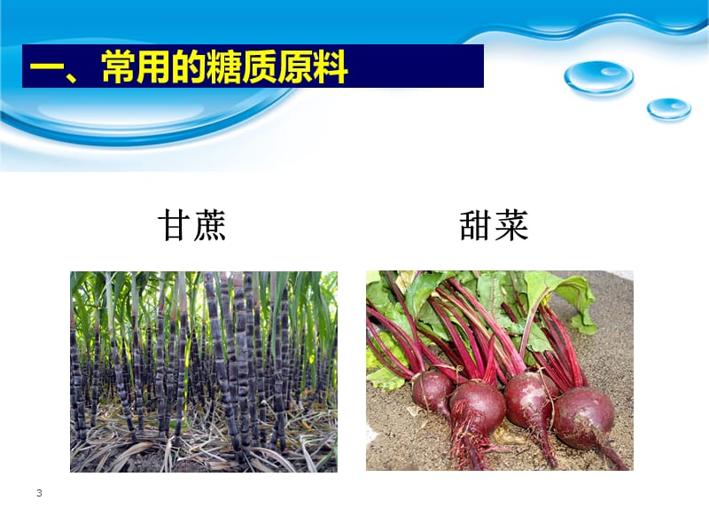 糖蜜酒精生产技术.ppt_第3页