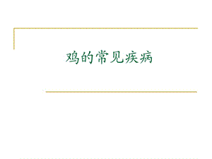 鸡常见传染病.ppt