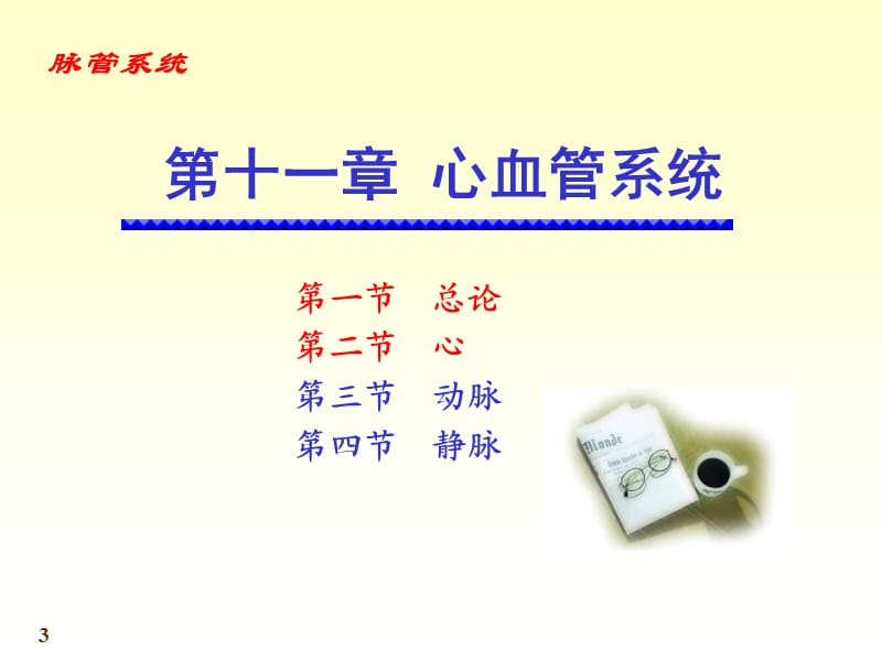 系统解剖学-心血管系统.ppt_第3页