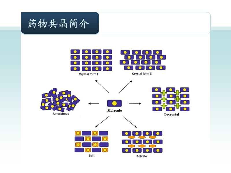 药物共晶概述.ppt_第3页