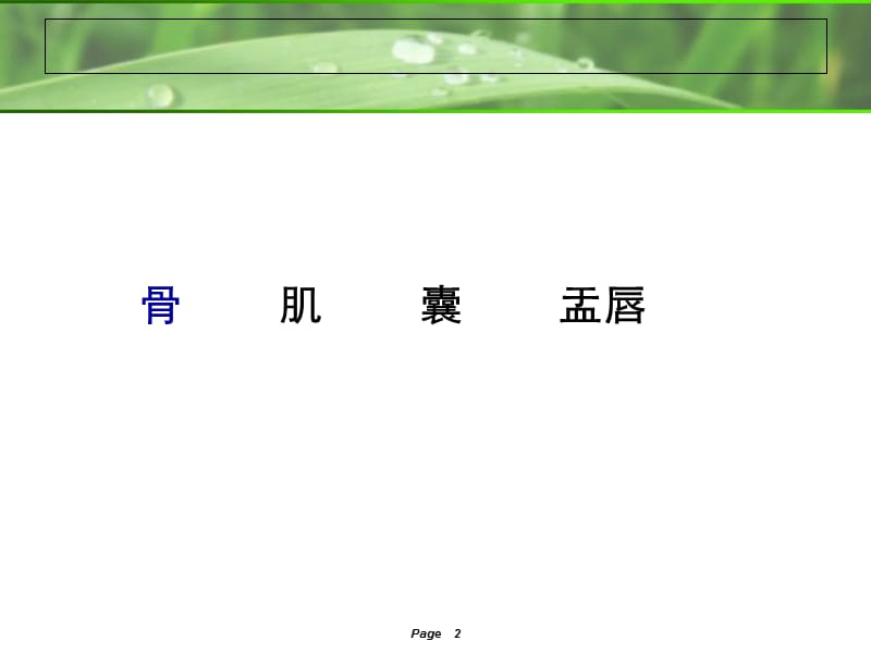 肩关节MRI解剖-)..ppt_第2页