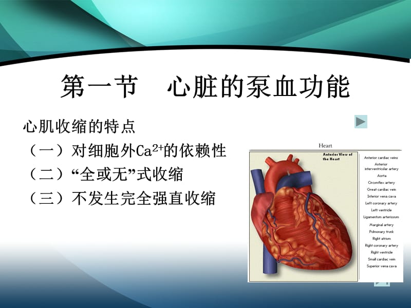 血液循环(心脏的泵血功能).ppt_第3页