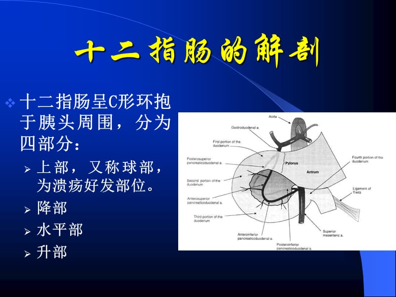 胃癌围手术期的护理.ppt_第3页