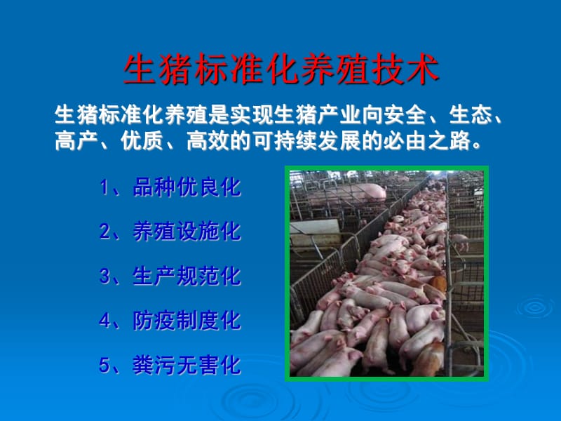 生猪养殖培训稿PPT课件.ppt_第1页