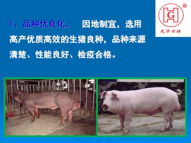 生猪养殖培训稿PPT课件.ppt_第2页