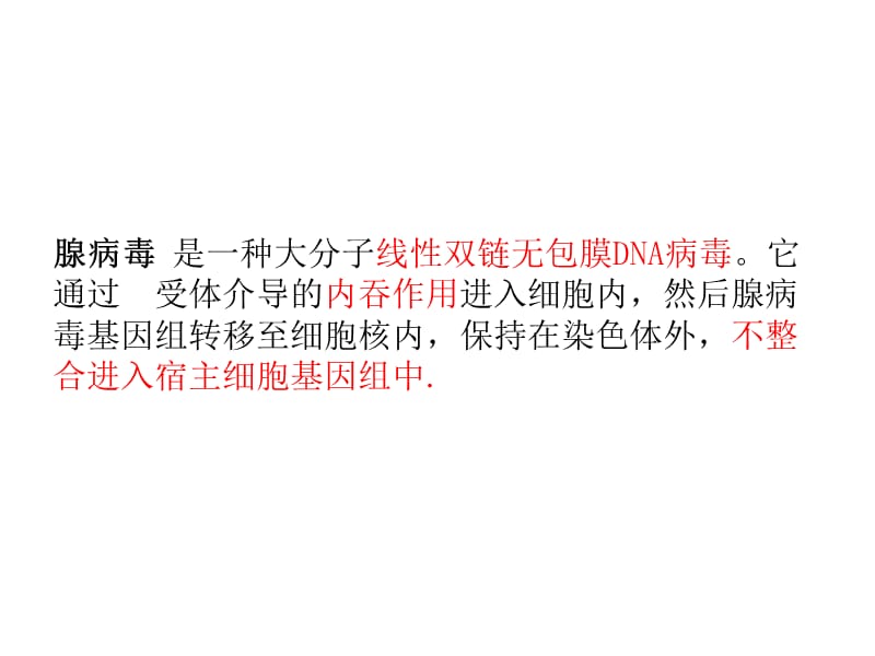 腺病毒载体构建.ppt_第3页