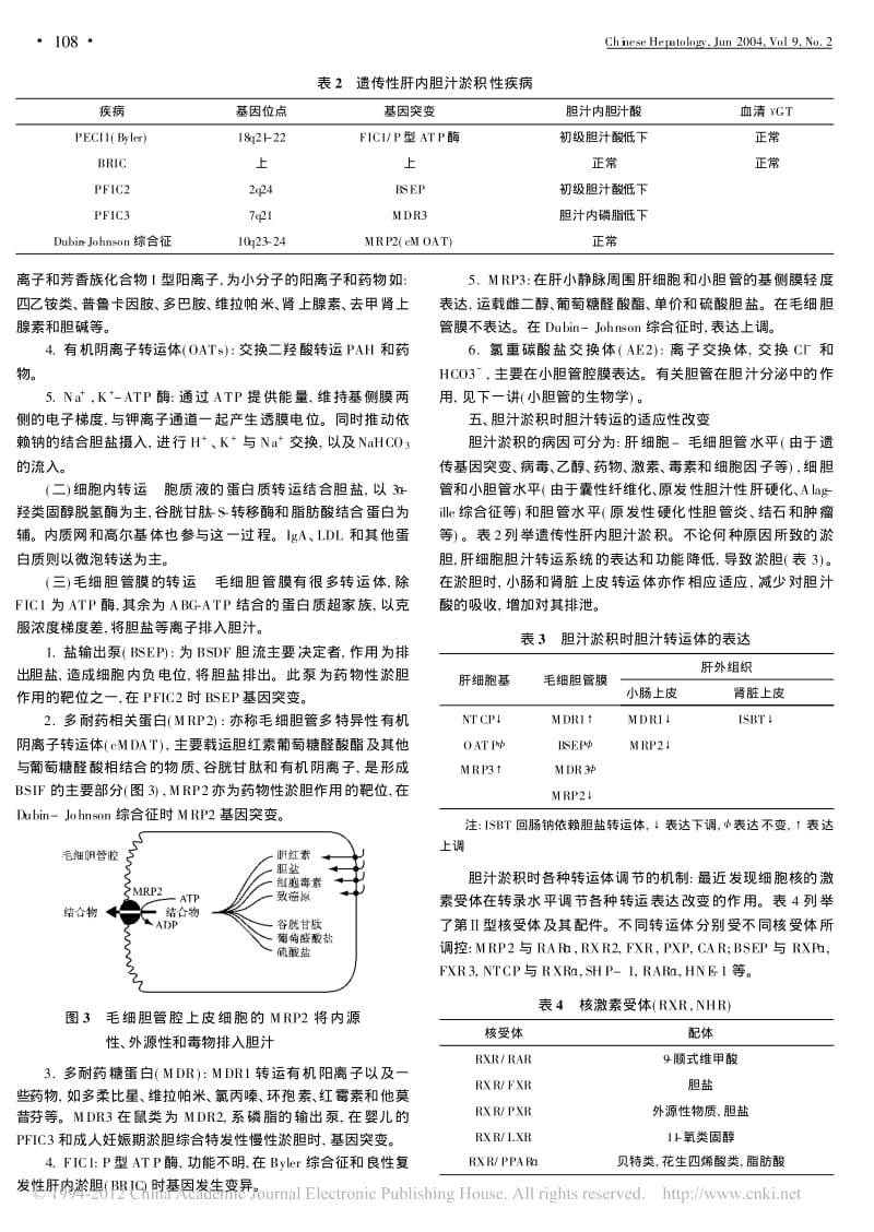 肝脏对胆汁形成和分泌的作用.pdf_第3页