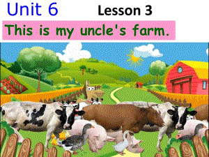 新概念英语Starter B Unit 6 Lesson 3.ppt