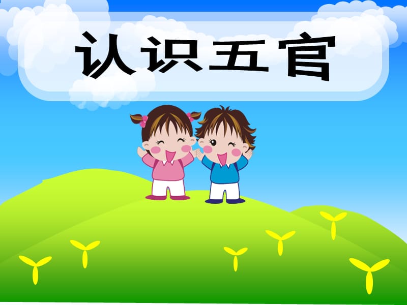 幼儿课件 认识五官(五官很重要).ppt_第1页