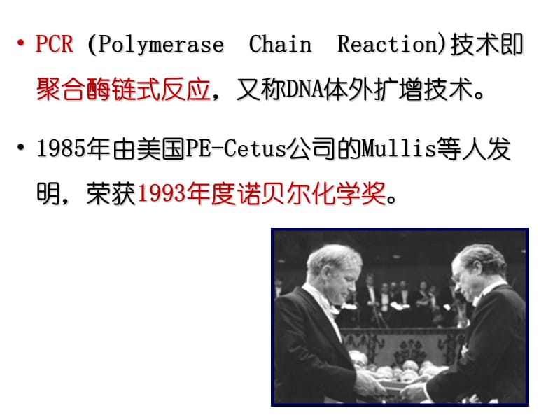 PCR详细讲解.ppt_第2页