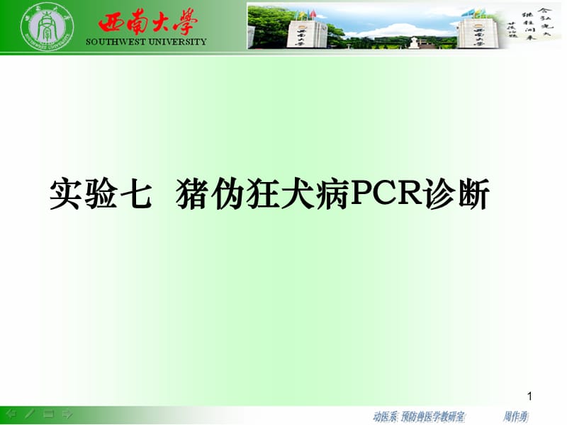 猪伪狂犬病的PCR诊断参考PPT.ppt_第1页