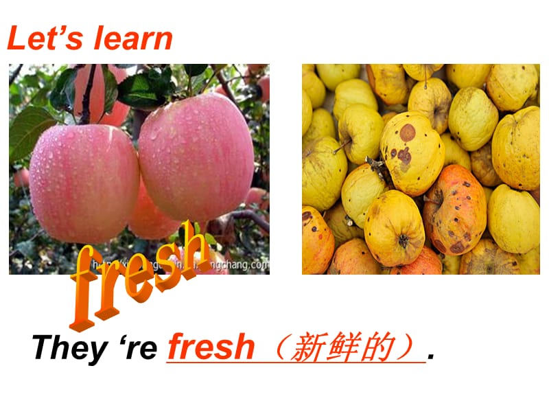 what would you like B let27s learn.ppt_第3页