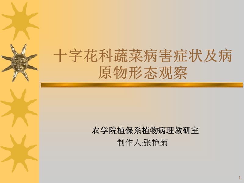 植物病理学-十字花科参考PPT.ppt_第1页