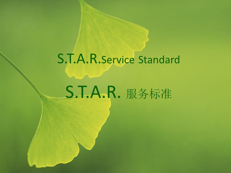 STAR Service 明星服务.ppt_第1页