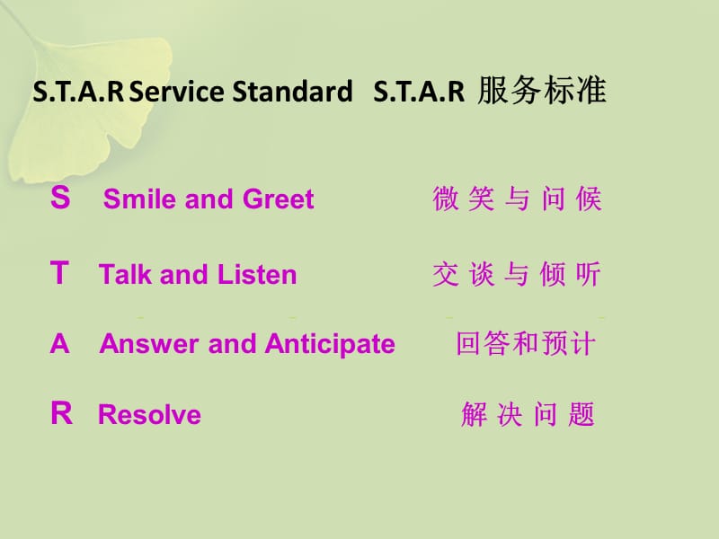 STAR Service 明星服务.ppt_第2页