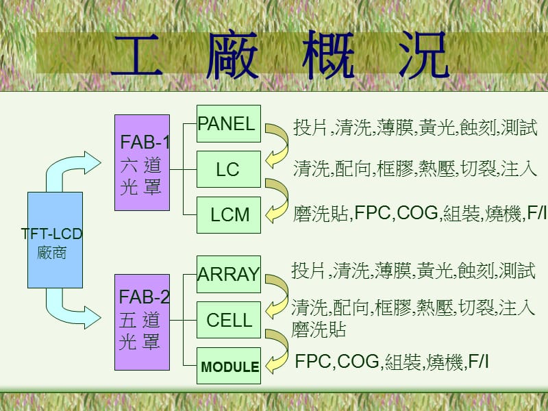 TFT_LCD基本制程介绍.ppt_第3页