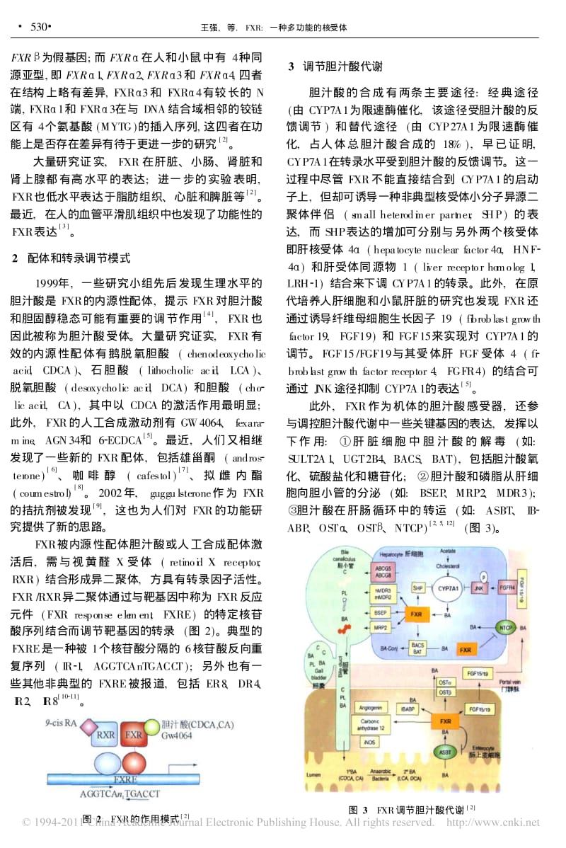 FXR_一种多功能的核受体.pdf_第2页