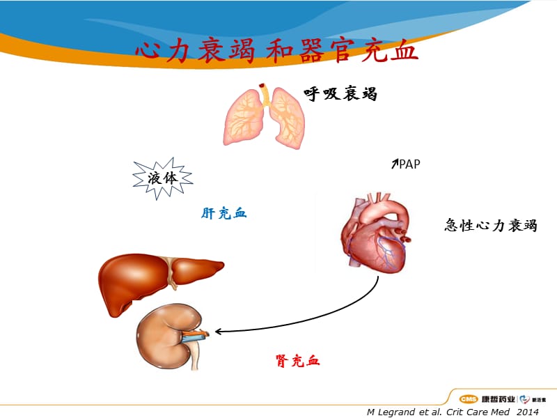 2015新活素讲课.ppt_第3页