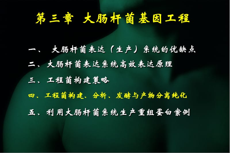 大肠杆菌基因工程 精选参考PPT.ppt_第3页