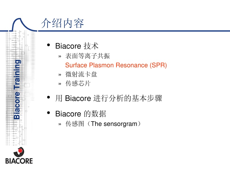 BiaCore基本原理.pdf_第3页