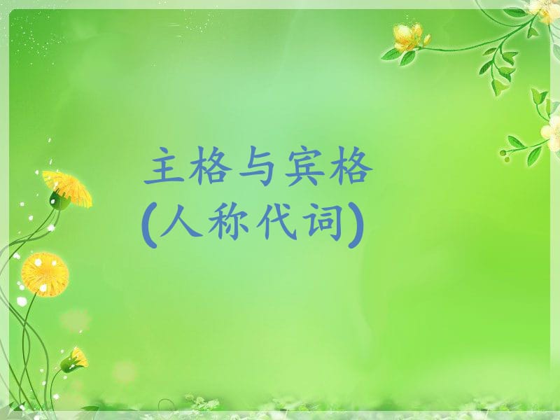 主格与宾格.ppt_第2页