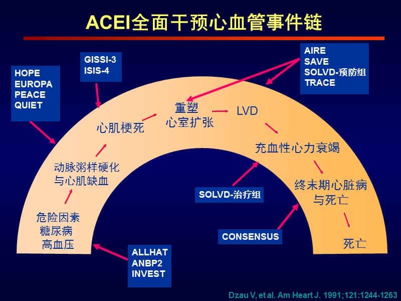 ACEI作用机制.ppt_第3页