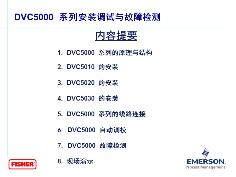 FISHER定位器.ppt_第2页