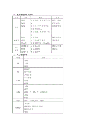 体表标志 文档.doc