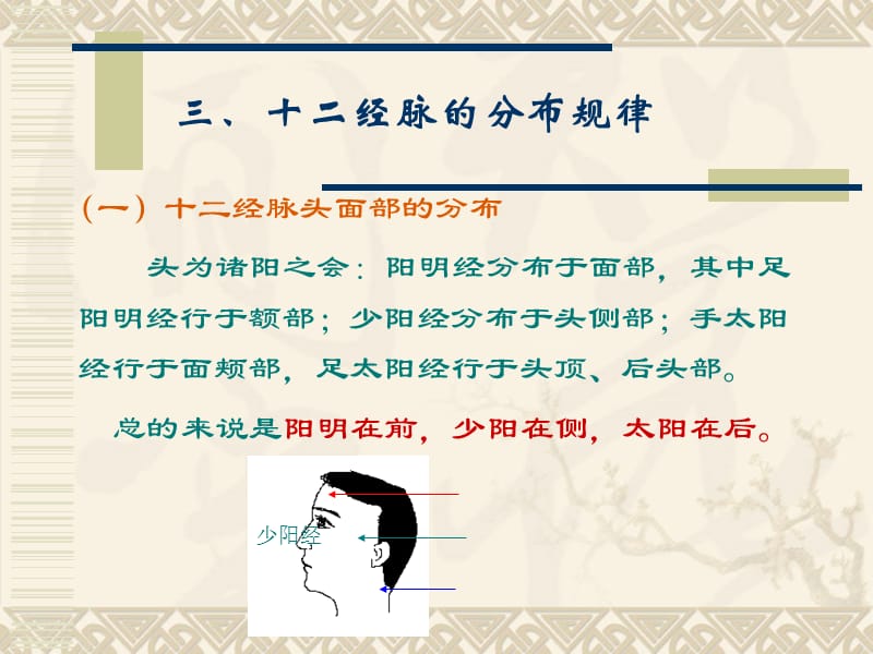 十二经脉的分布规律.ppt_第1页