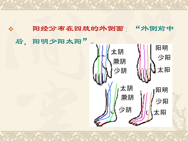 十二经脉的分布规律.ppt_第3页