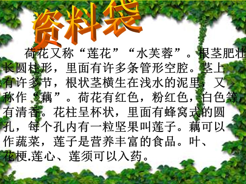 《荷花》课件【31页】.ppt_第2页