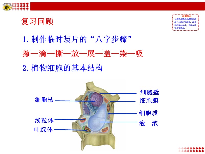 动物细胞课件.ppt_第2页