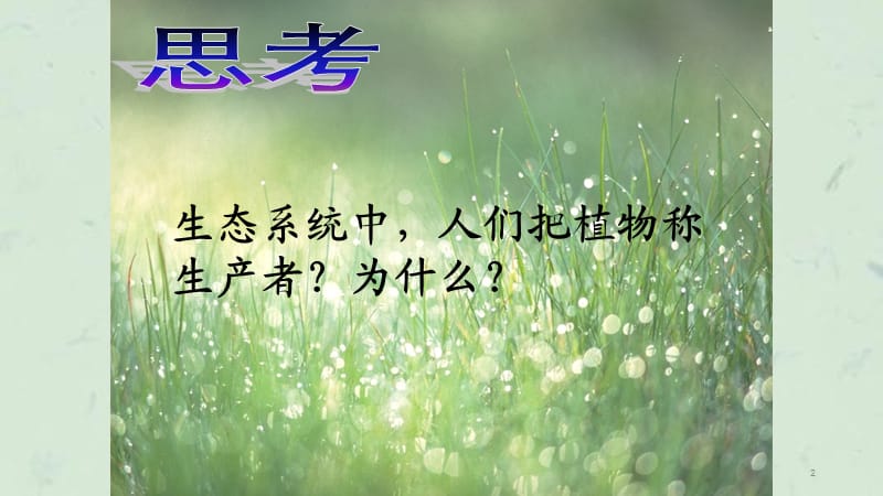 植物的光合作用课件.ppt_第2页