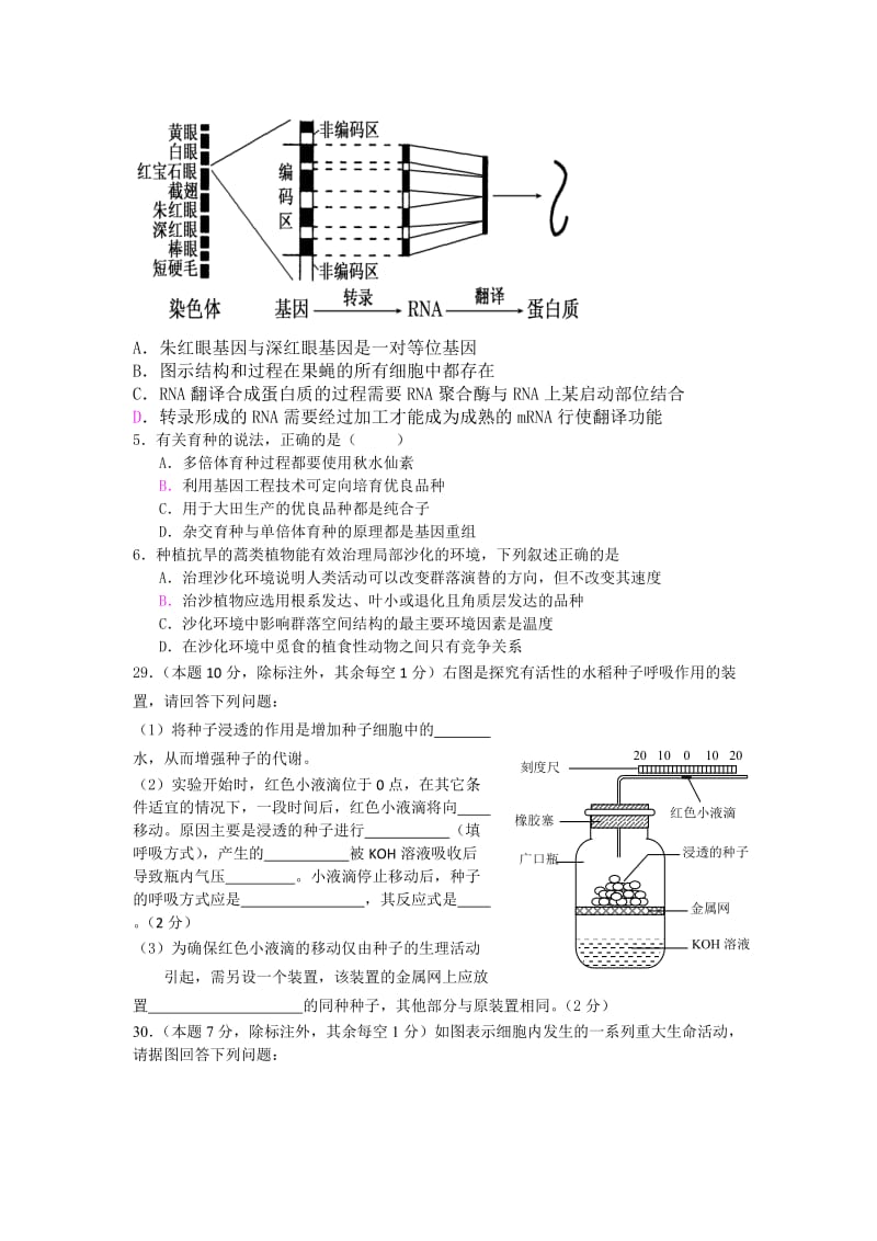 高二第二学期生物模拟试卷（一）.doc_第2页