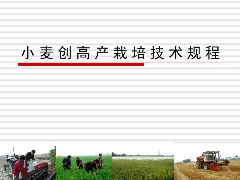 小麦创高产栽培技术规程PPT参考课件.ppt_第1页