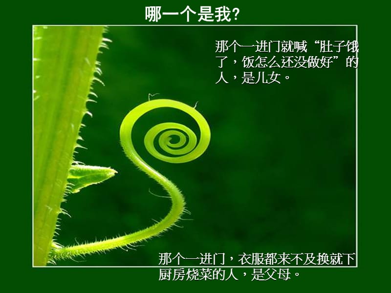 哪一个是我1.ppt_第2页