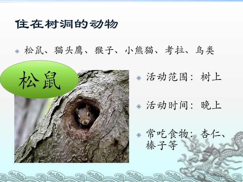 住在洞里的动物.ppt_第3页