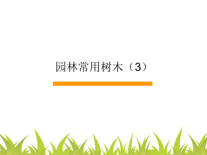 南方常见乔灌木.ppt_第1页