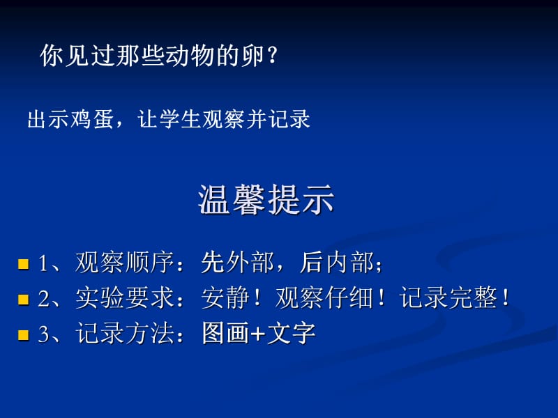 动物的卵PPT.ppt_第2页