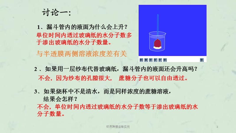 物质跨膜运输实例课件.ppt_第3页