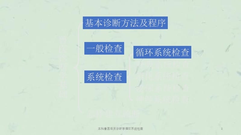 本科兽医临床诊断学循环系统检查课件.ppt_第2页