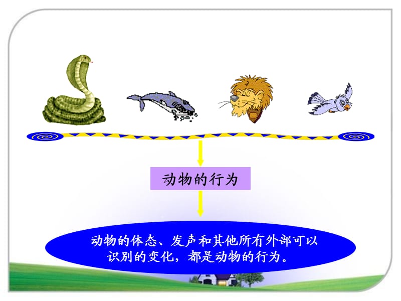 动物行为的主要类型.ppt_第3页