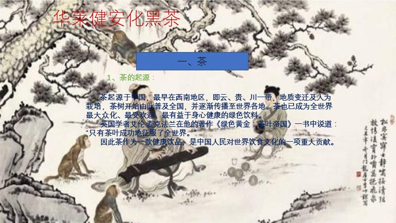 华莱健安化黑茶.ppt_第1页