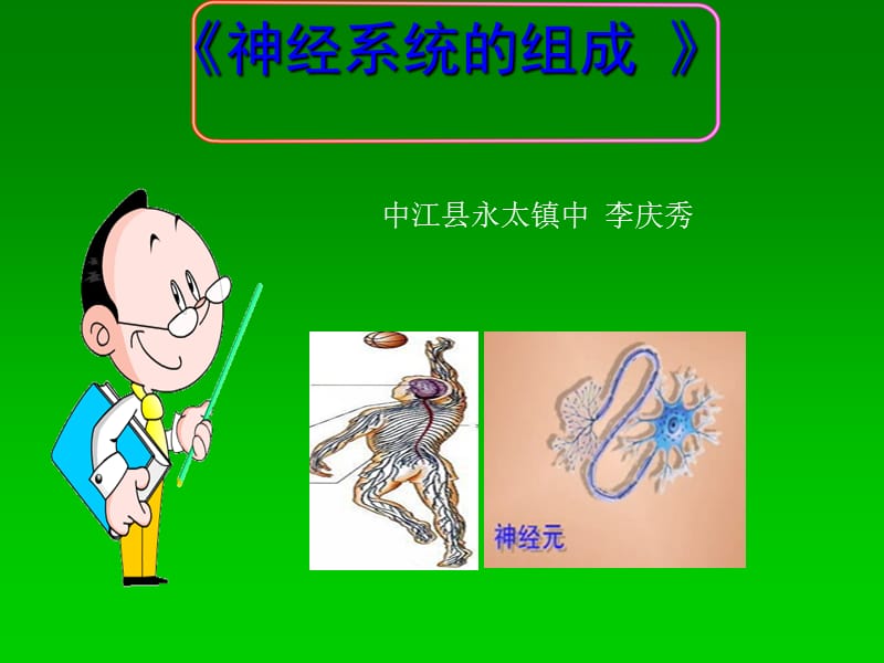 《神经系统的组成》.ppt_第1页