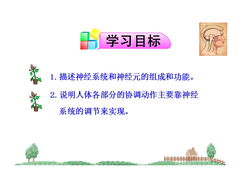 《神经系统的组成》.ppt_第3页