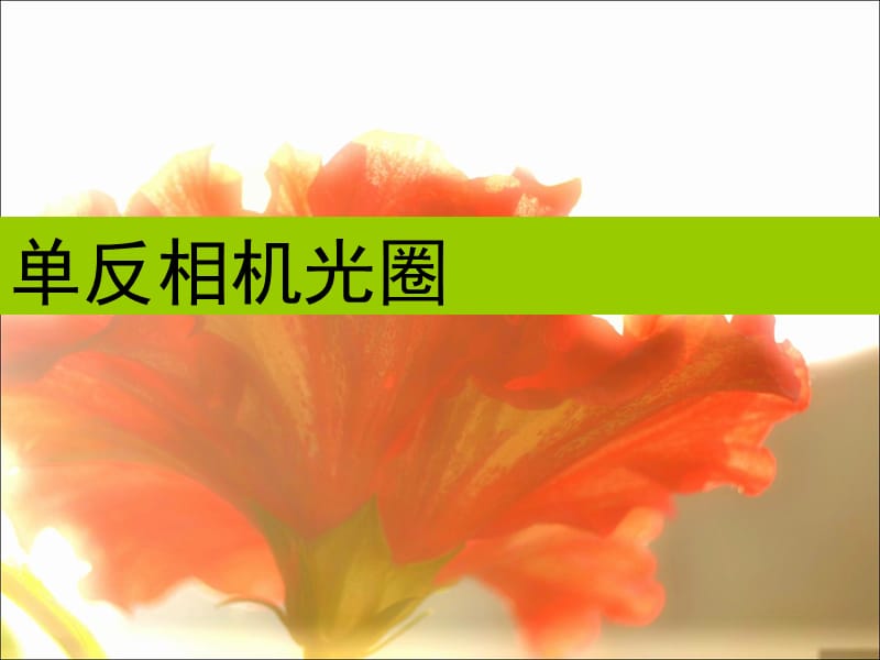 单反相机光圈快门讲解.ppt_第1页